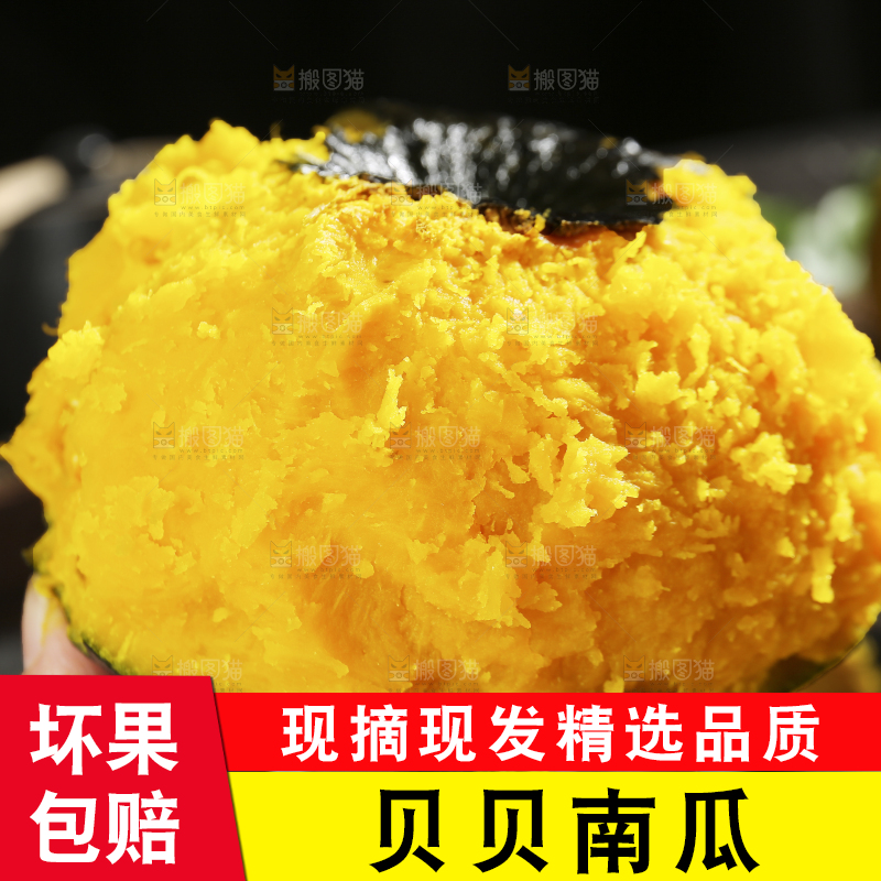手上拿着板栗贝贝南瓜