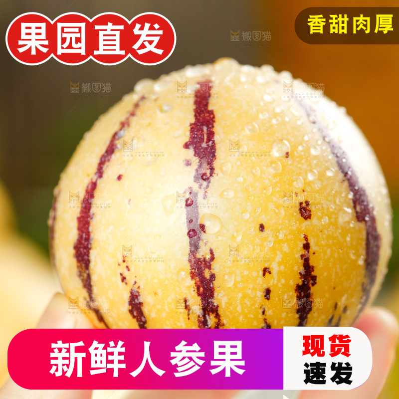 手里拿着人参果