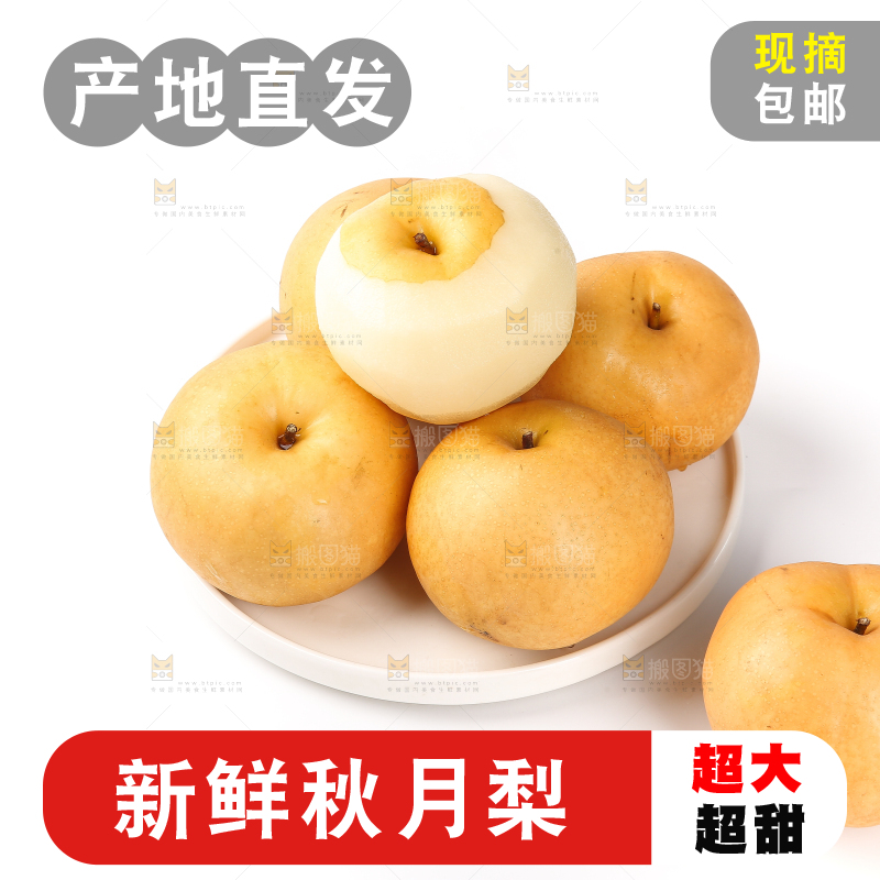 白底上摆放着秋月梨