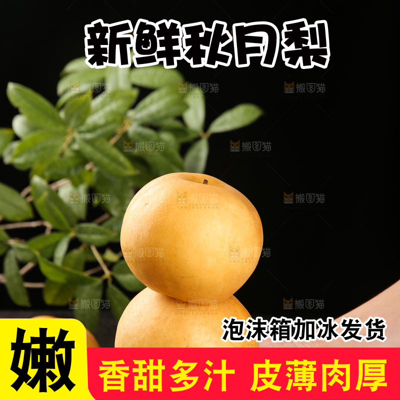 手里放着新鲜秋月梨