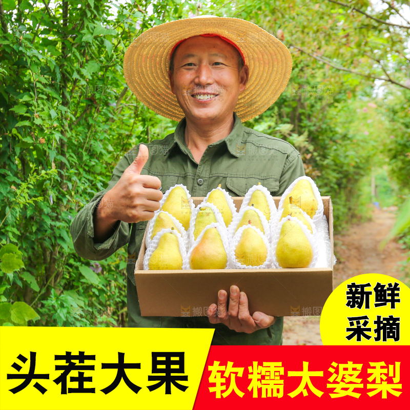 农民手里拿着一箱太婆梨