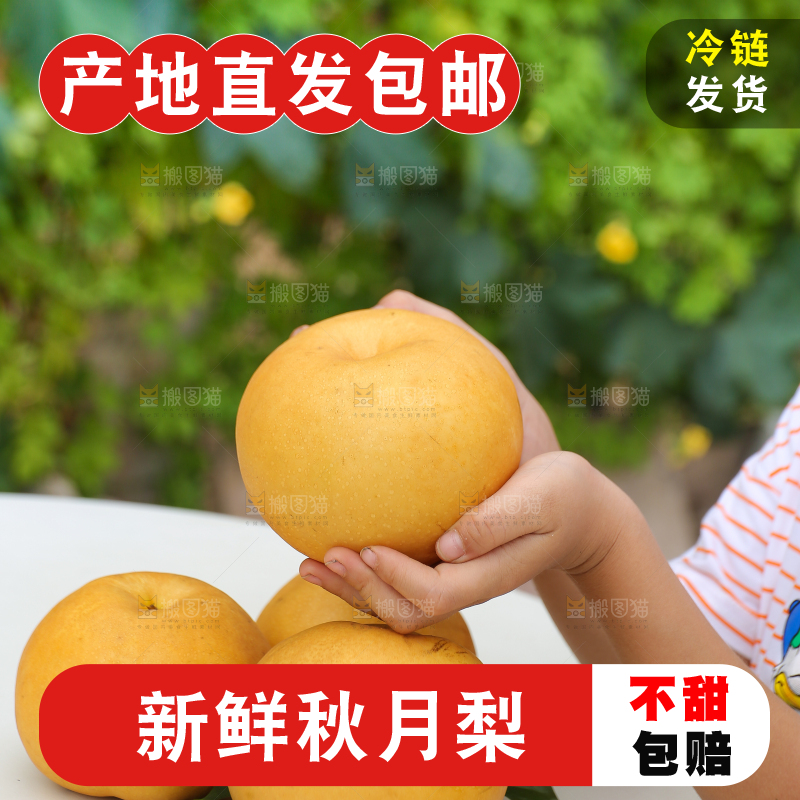 手里拿着秋月梨