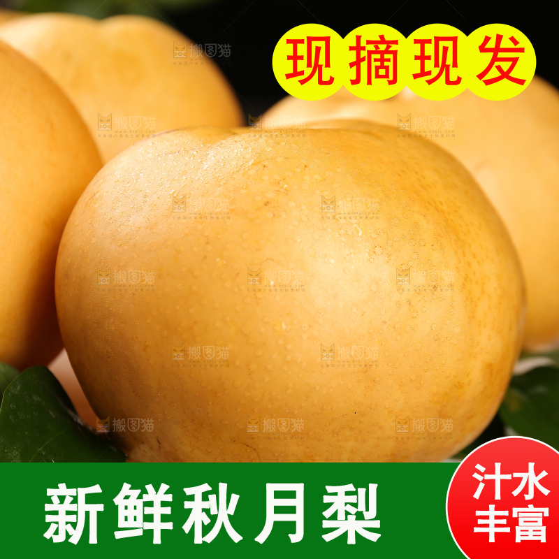 盘子里的莱阳秋月梨