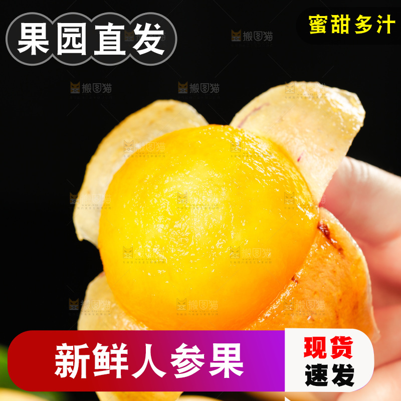 木底上的人参果