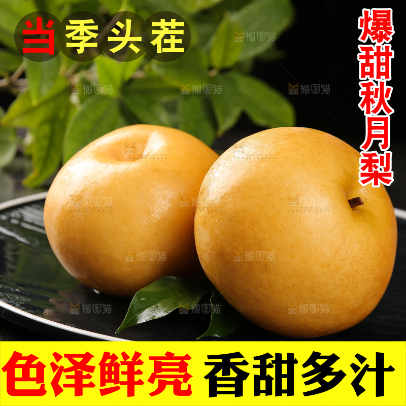黑底上的秋月梨