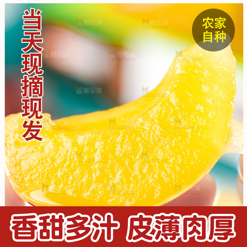 手里拿着人参果