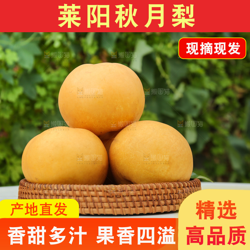 桌子上放着一篮秋月梨