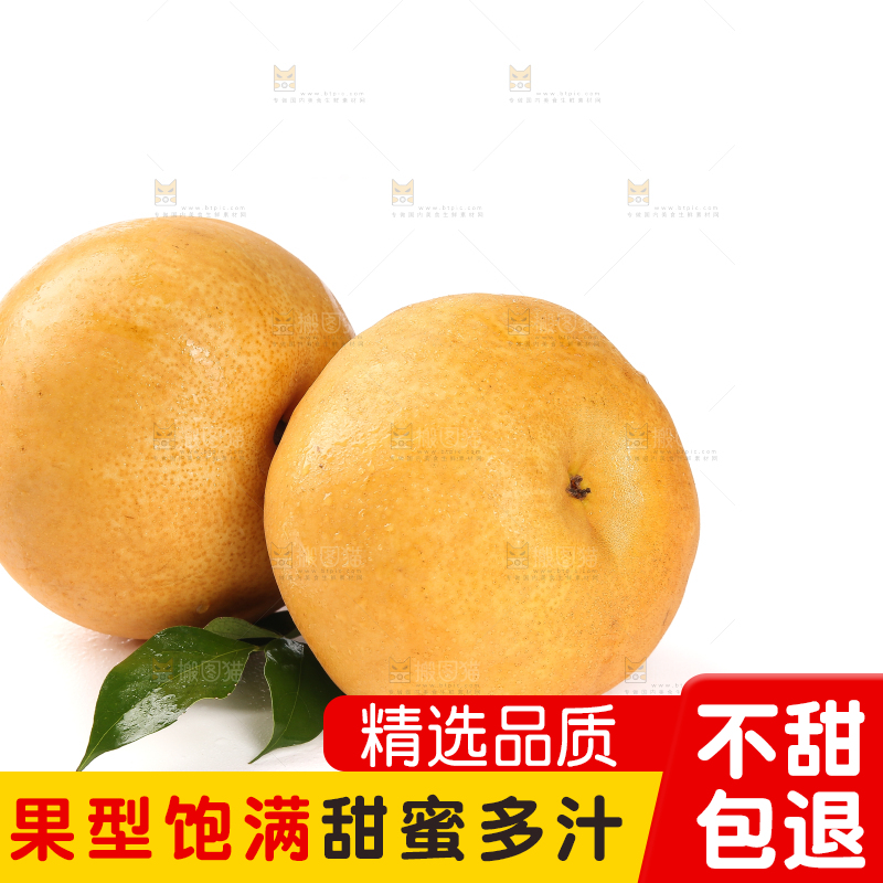 白底上放着的秋月梨