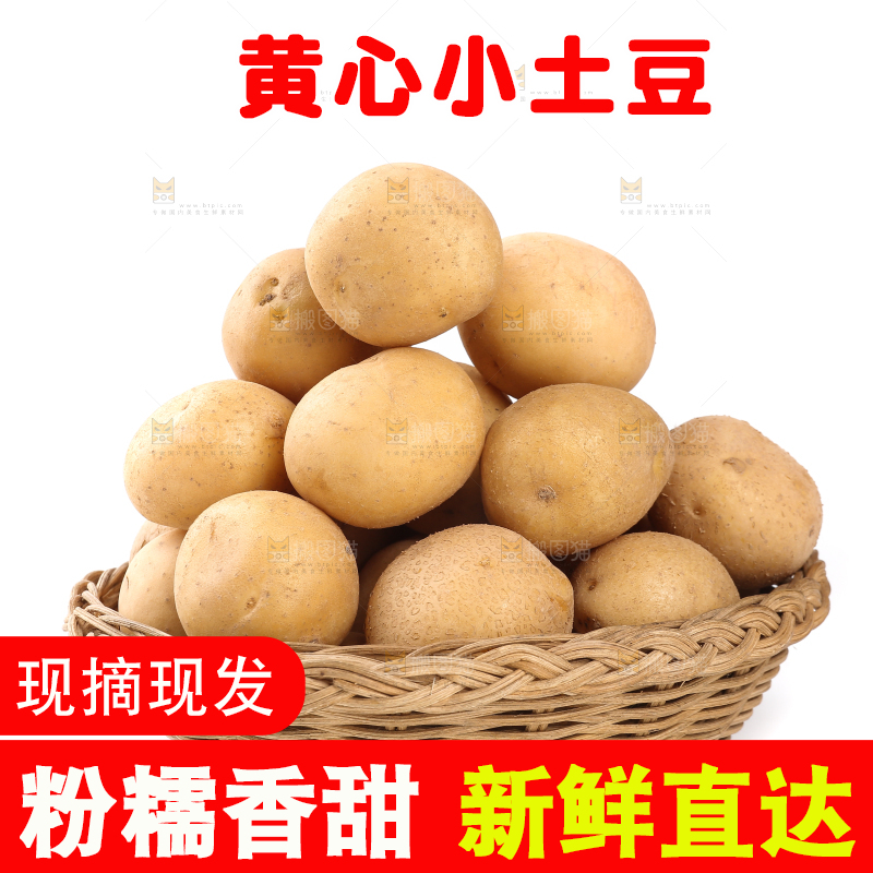 白底上的一篮黄皮小土豆