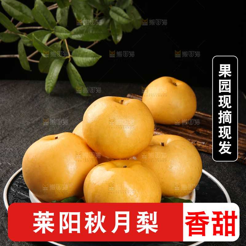 盘子里的莱阳秋月梨
