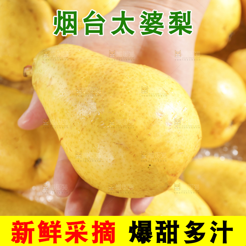 手里拿着太婆梨