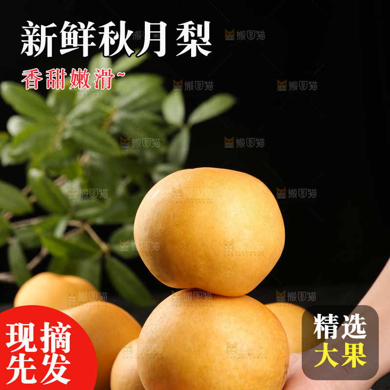 手里放着新鲜秋月梨