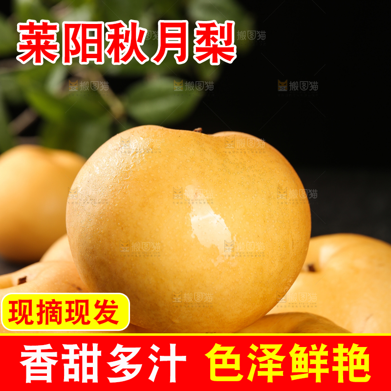 堆放着的秋月梨