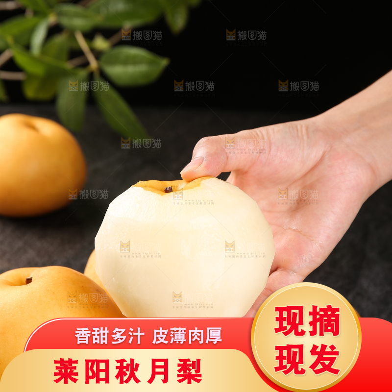 手里拿着新鲜秋月梨
