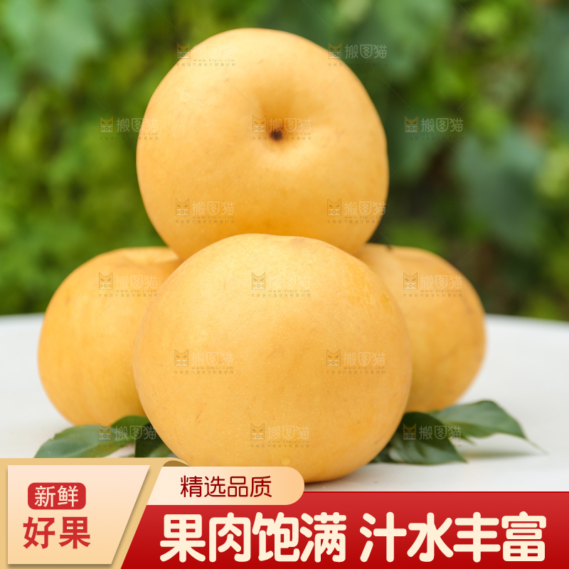 桌子上摆放着的秋月梨