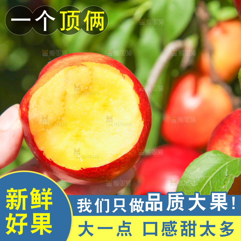 手里拿着黄心油桃