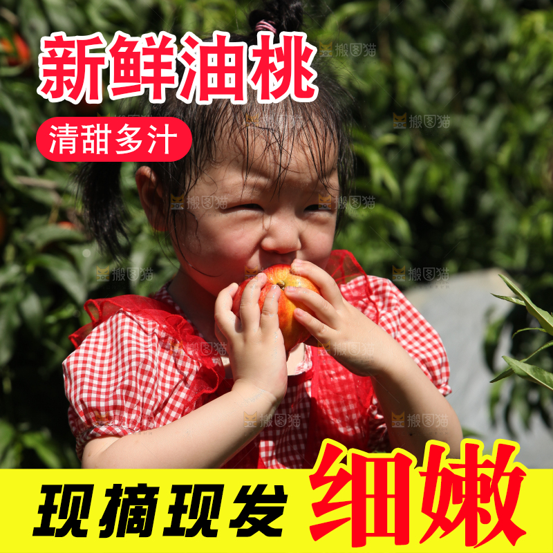 女孩正在吃着油桃