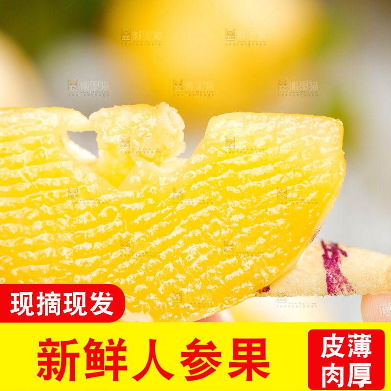 白底上放着长寿果