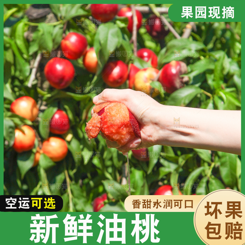 手里爆汁的油桃