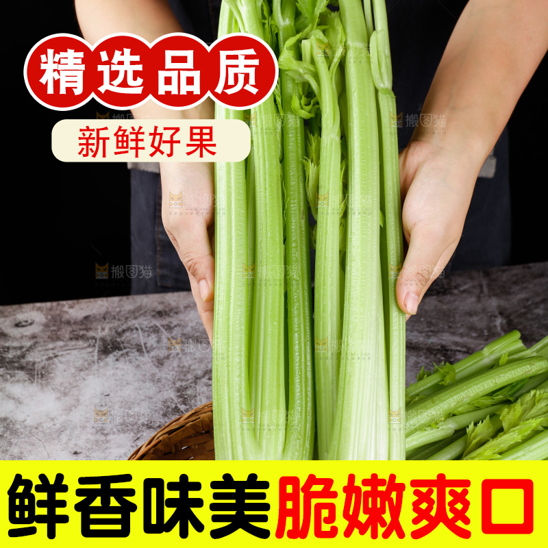 手里拿着山东大西芹
