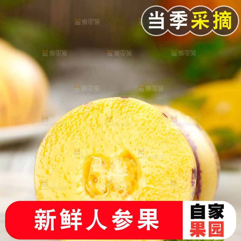 白底上的人参果
