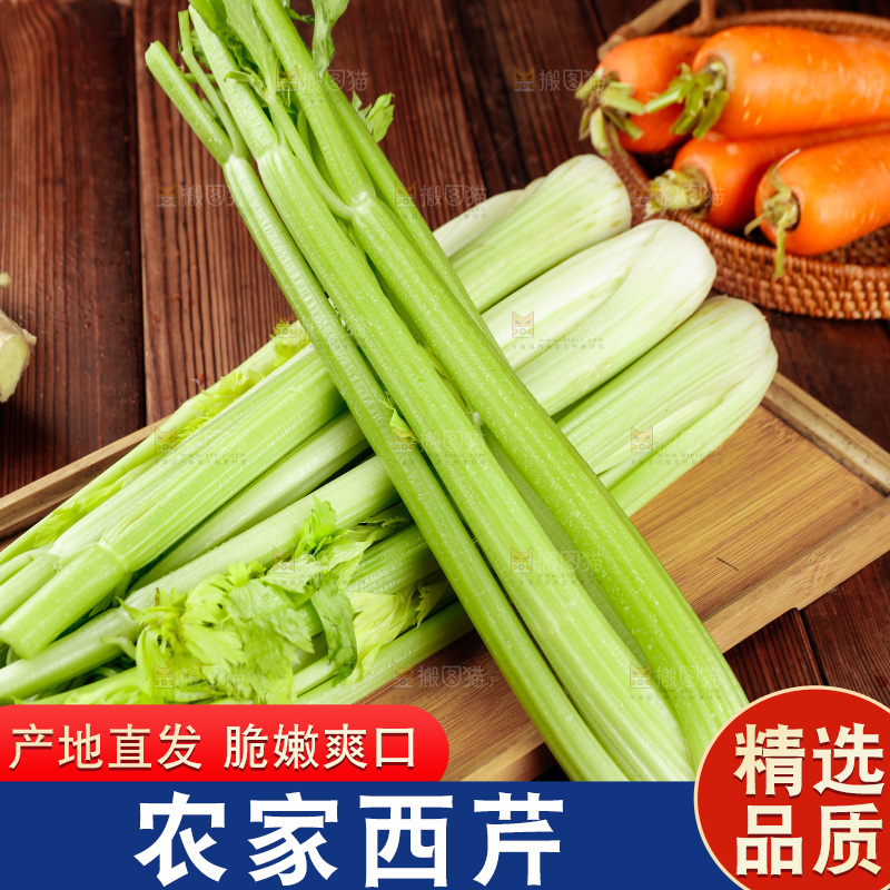 木盘里的山东大西芹