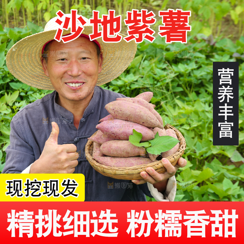 农民手里拿着一篮紫薯