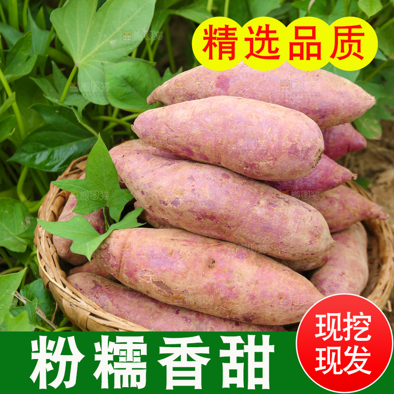 地里放着一篮紫薯