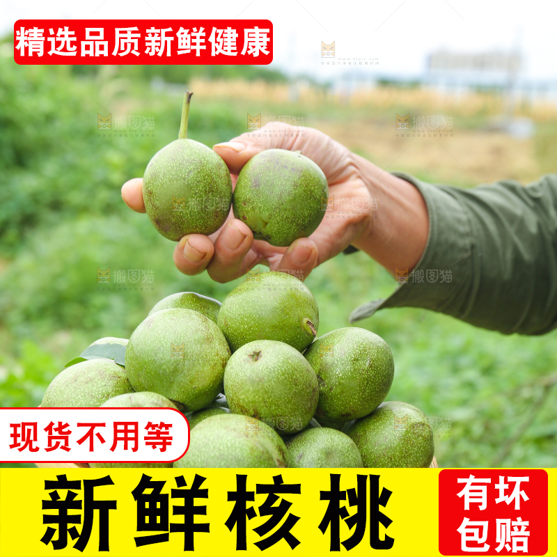 手里拿着一篮青核桃