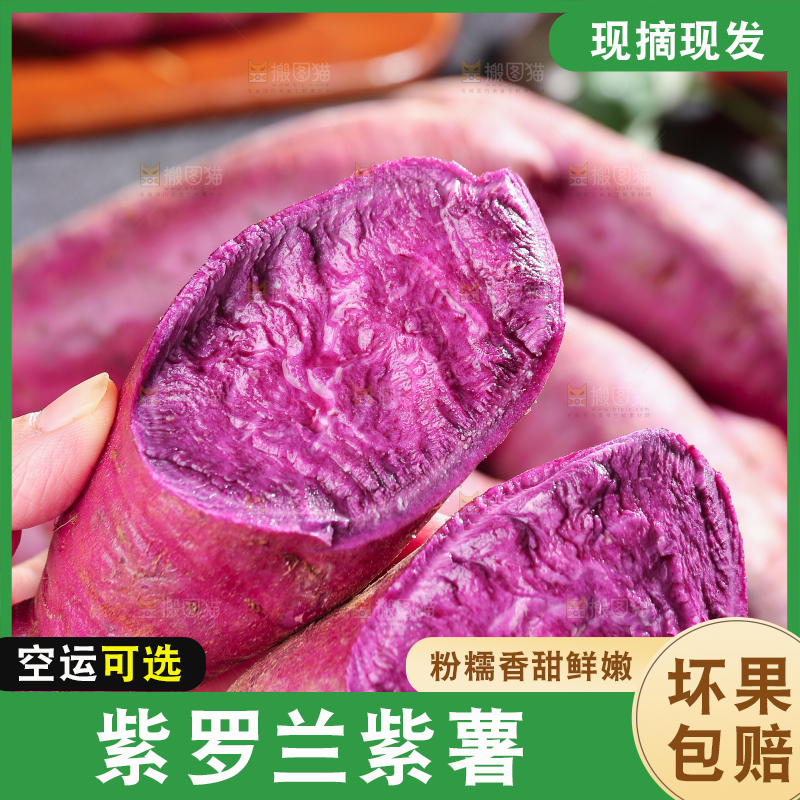 手里拿着新鲜紫薯