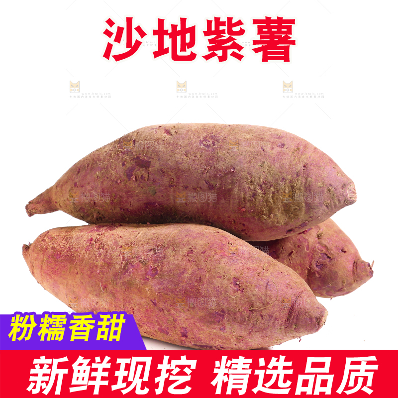 白底上的沙地紫薯