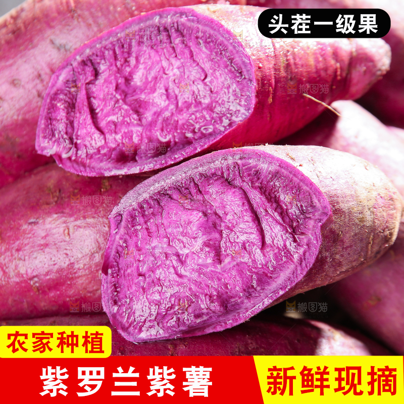 堆放着的新鲜紫薯