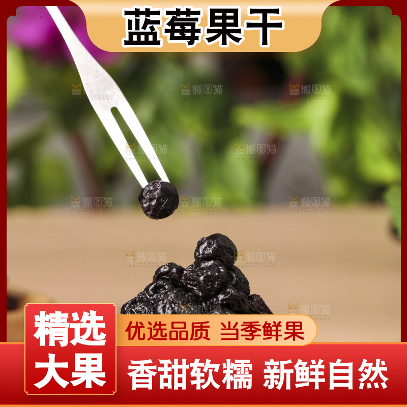 叉子上的蓝莓果干