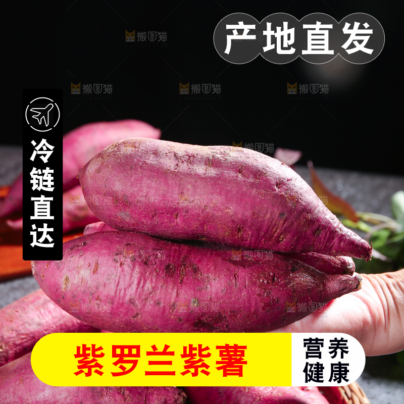 手上放着新鲜紫薯
