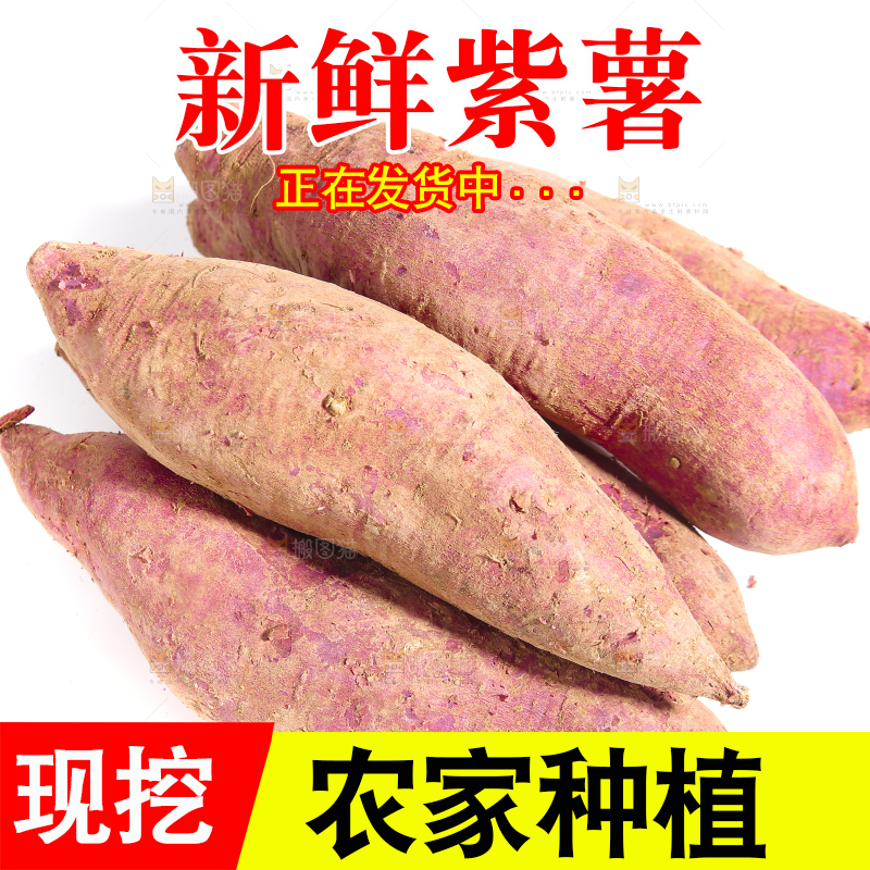 白底上的大紫薯