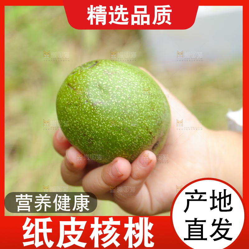 手里拿着青核桃