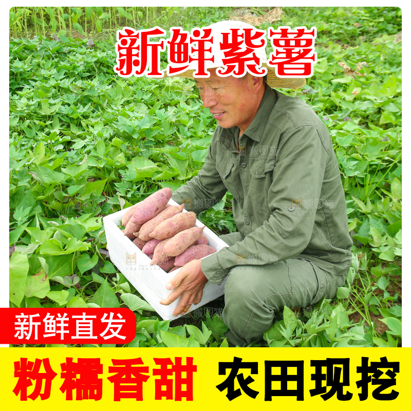 农民手里拿着一箱紫薯
