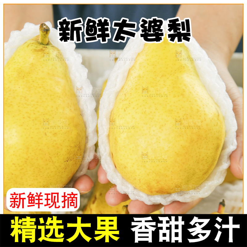 手里拿着太婆梨