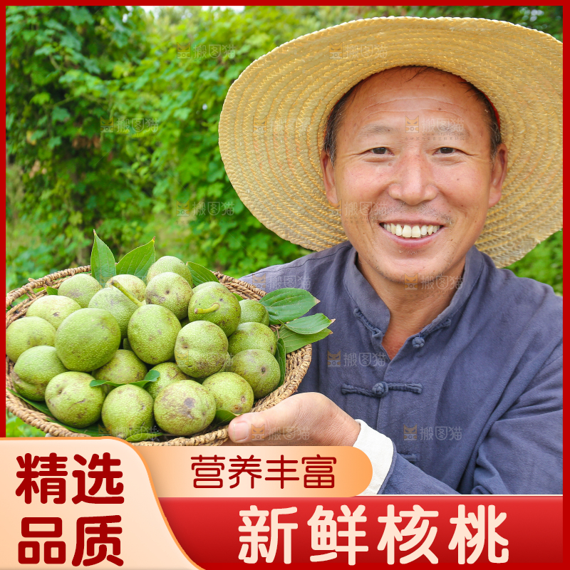 农民手里拿着一篮核桃