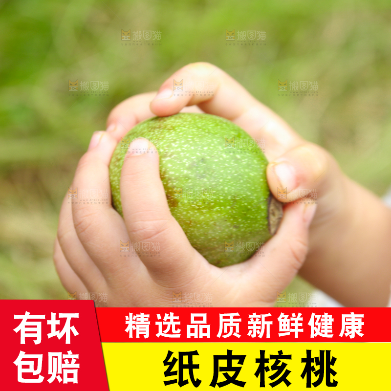手里拿着青核桃