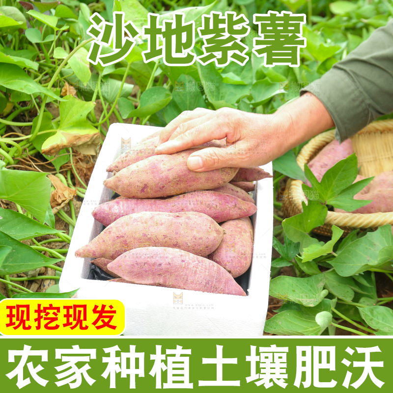 地里放着一箱紫薯