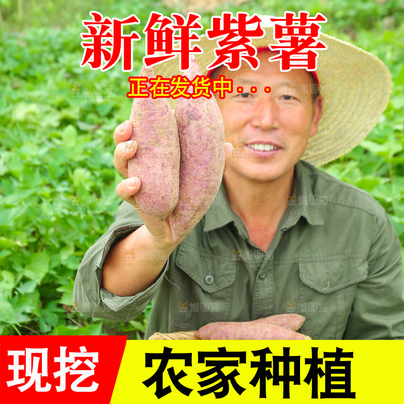 农民手里拿着一篮紫薯