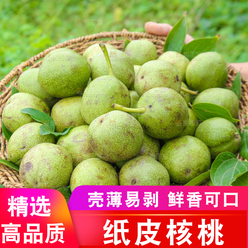 手里拿着一篮青核桃