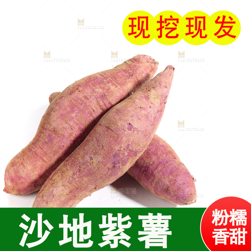 白底上的沙地紫薯