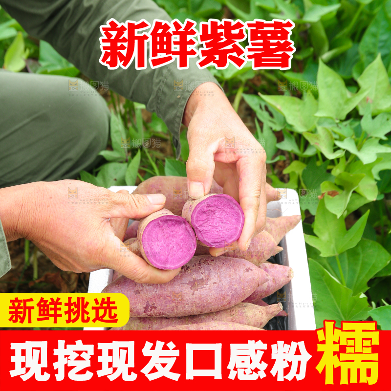 手里拿着新鲜紫薯