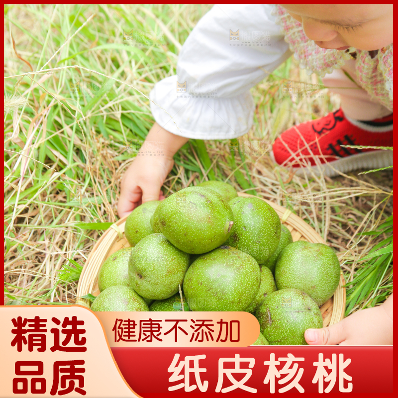 小孩手里拿着一篮青核桃