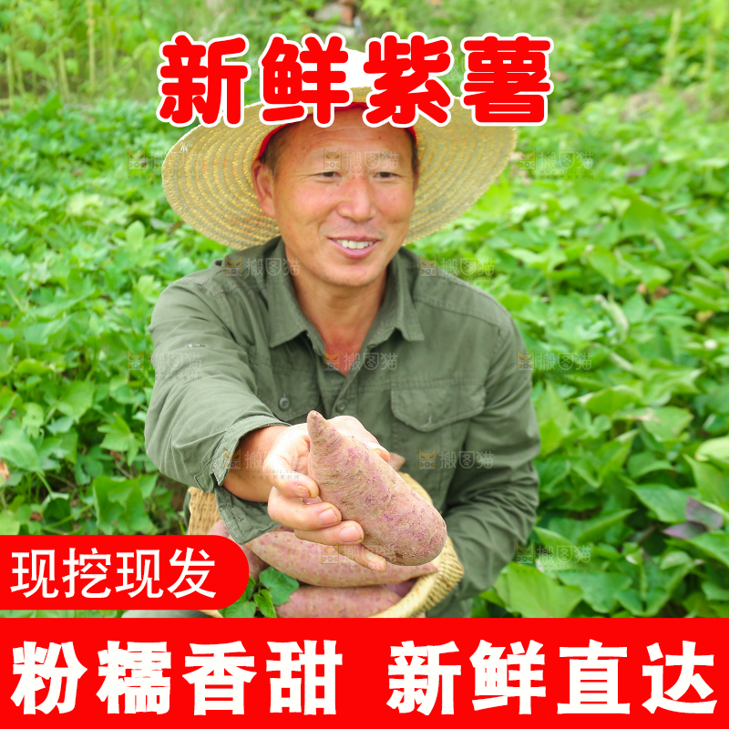 农民手里拿着一篮紫薯