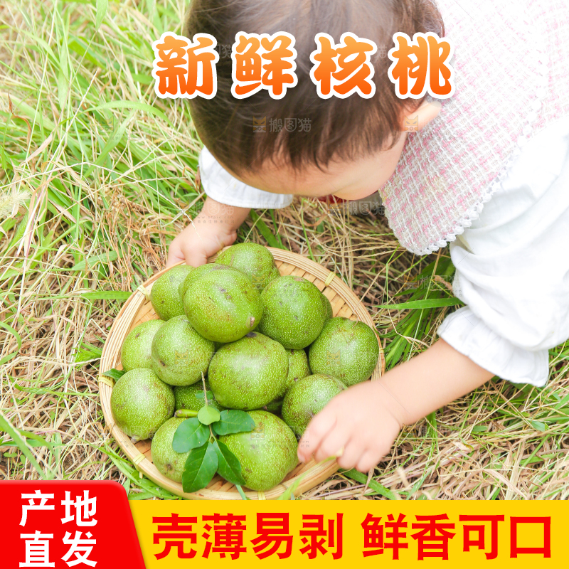 小孩手里拿着一篮青核桃