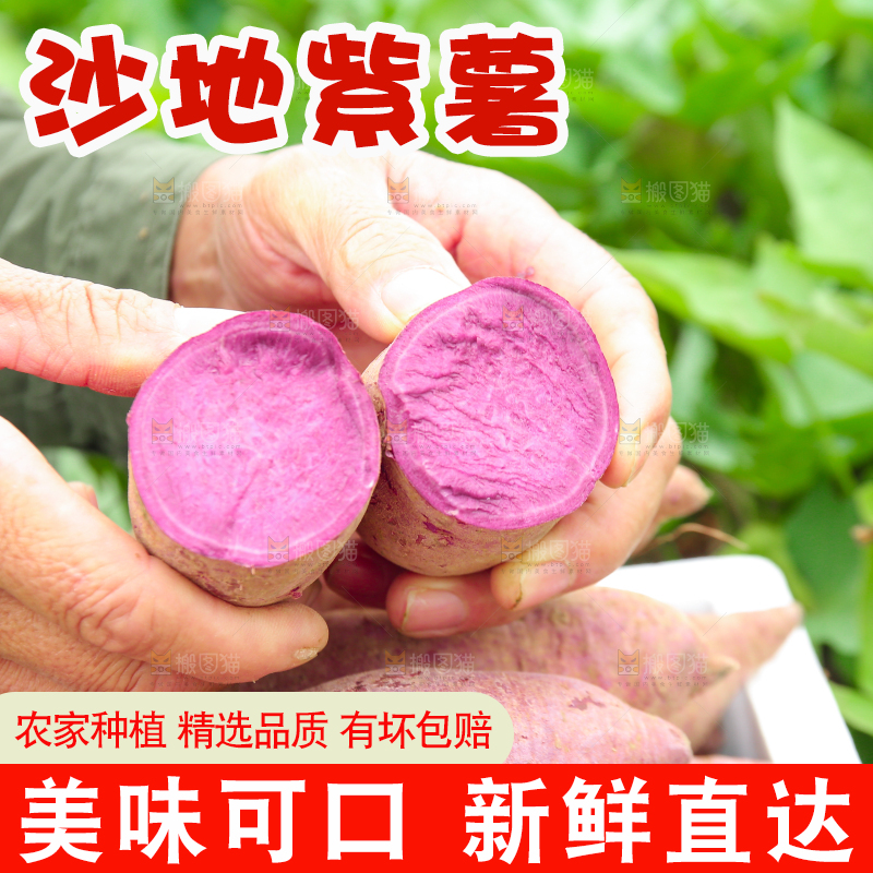 手里拿着新鲜紫薯