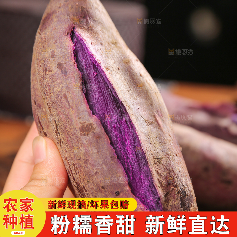 手上拿着板栗紫薯